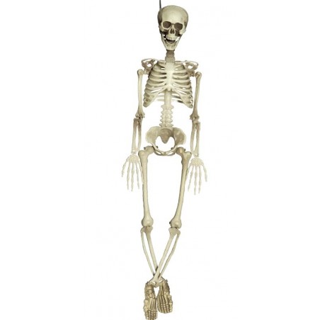 ESQUELETO COMPLETO 90 CM.