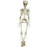 ESQUELETO COMPLETO 90 CM.