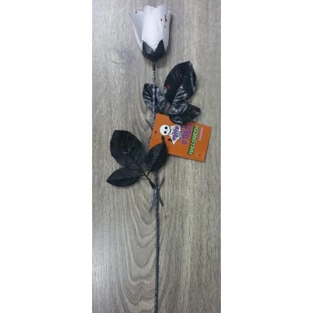 ROSA BLANCA CON GOTAS SANGRE