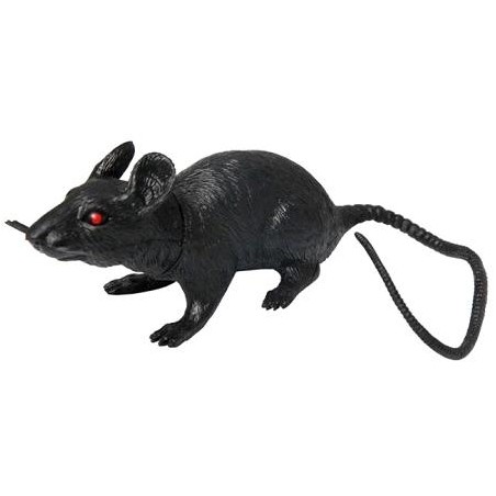 RATA PLASTICO 25 CM.